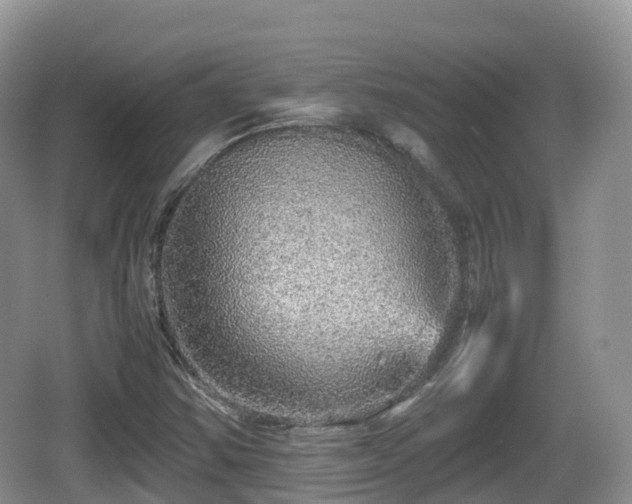 X0000067481354200604101218