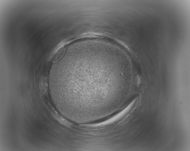 X0000067481355200604101218