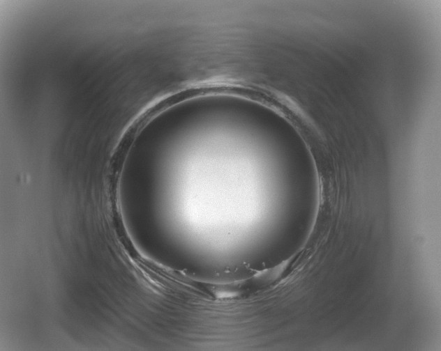 X0000067481356200604101218