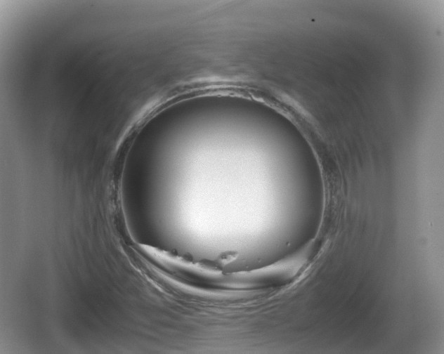 X0000067481357200604101218