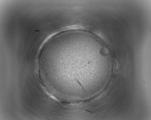 X0000067481358200604101218