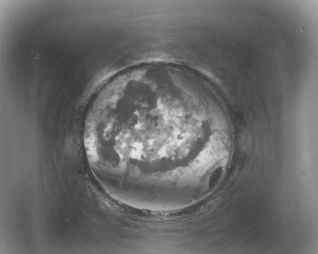 X0000067481359200604101218