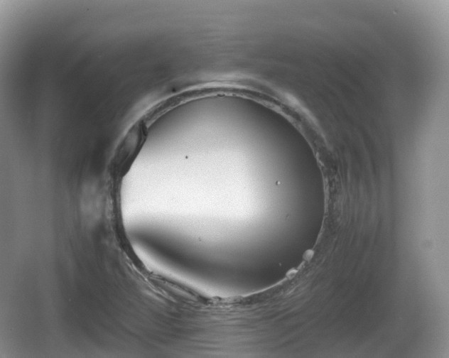 X0000067481360200604101218