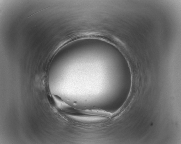 X0000067481361200604101218