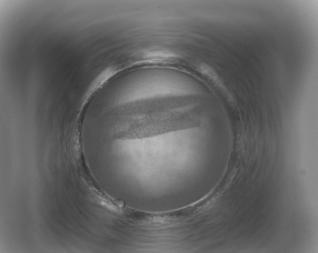 X0000067481362200604101218