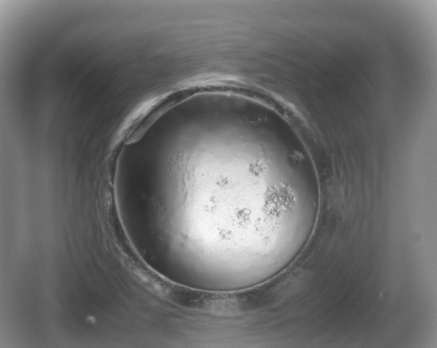 X0000067481363200604101218