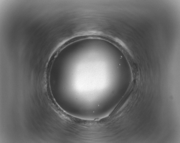 X0000067481364200604101218