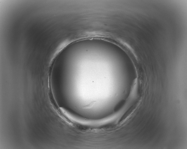 X0000067481365200604101218