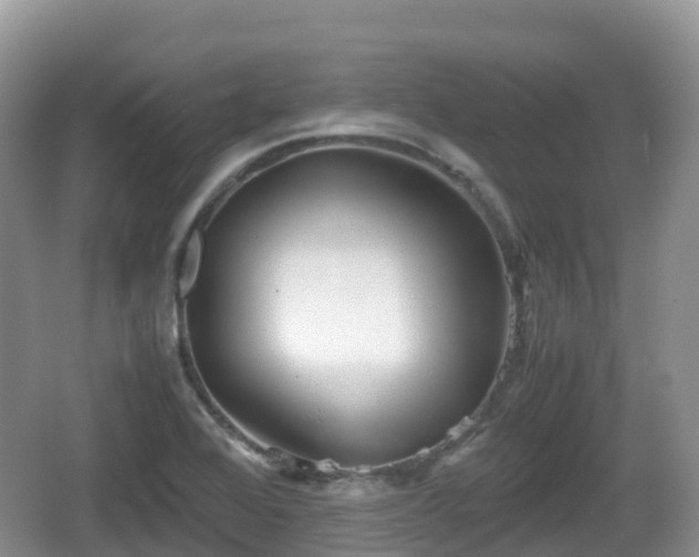 X0000067481368200604101218