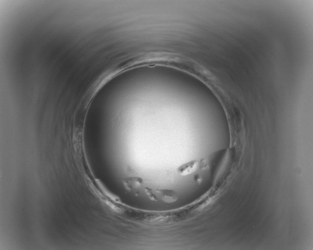 X0000067481369200604101218