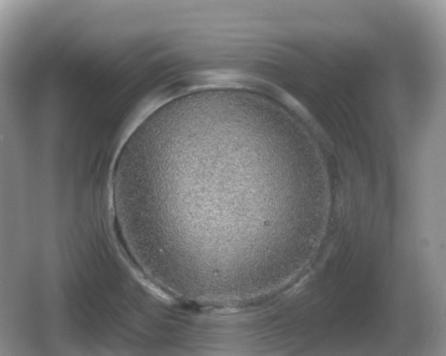 X0000067481370200604101218