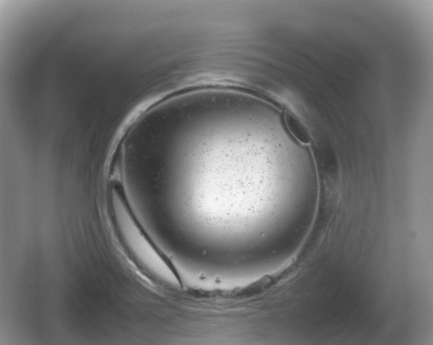 X0000067481371200604101218