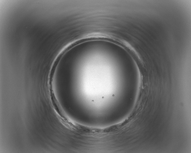 X0000067481372200604101218