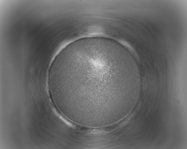 X0000067481374200604101218