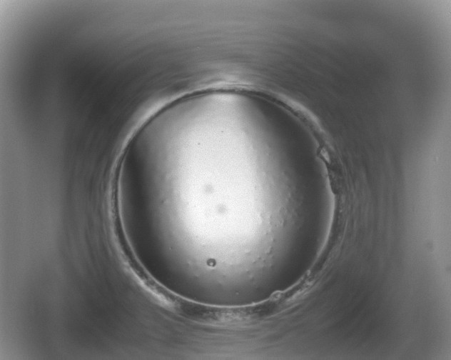 X0000067481375200604101218