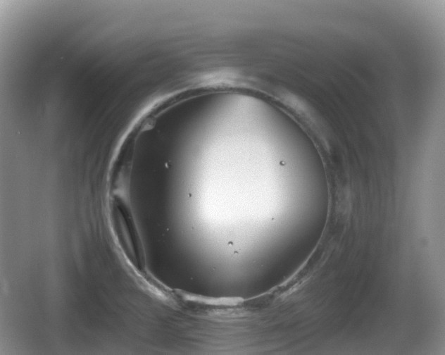 X0000067481376200604101218