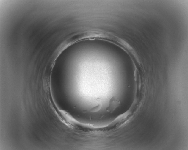 X0000067481377200604101218