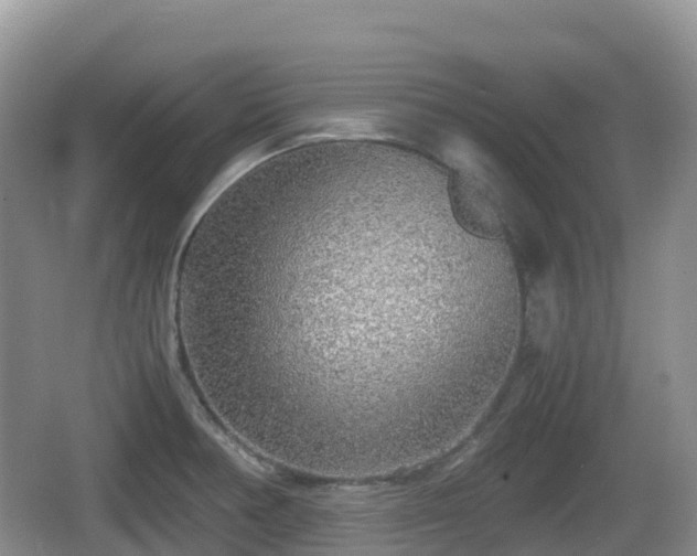 X0000067481378200604101218