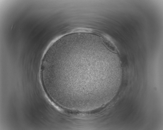 X0000067481379200604101218