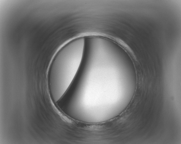 X0000067481380200604101218