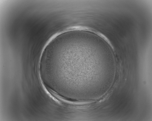 X0000067481381200604101218