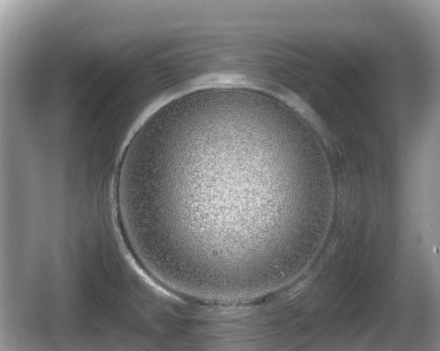 X0000067481382200604101218