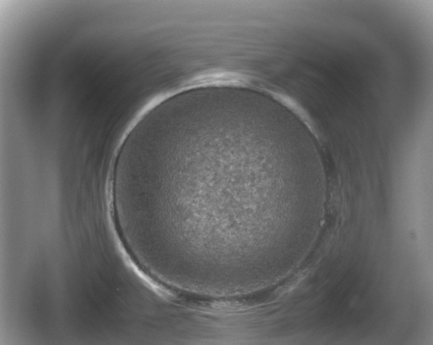 X0000067481383200604101218