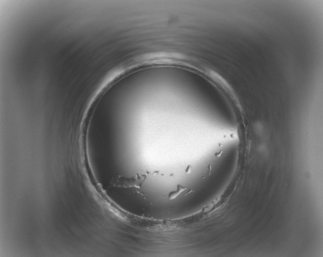 X0000067481384200604101218