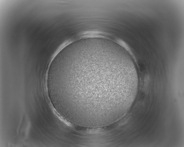 X0000067481386200604101218