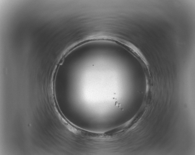 X0000067481388200604101218