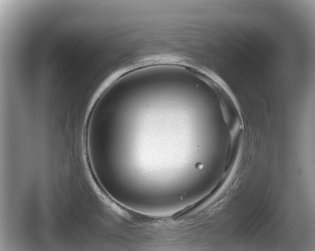 X0000067481389200604101218