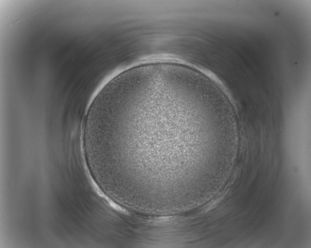 X0000067481390200604101218