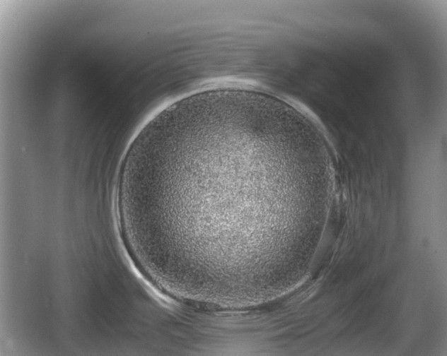 X0000067481391200604101218