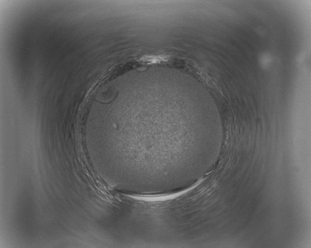 X0000067481393200604101217