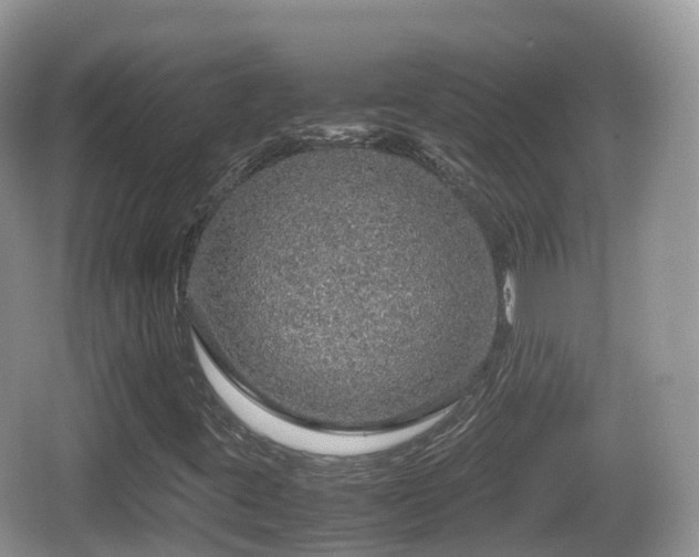 X0000067481395200604101217