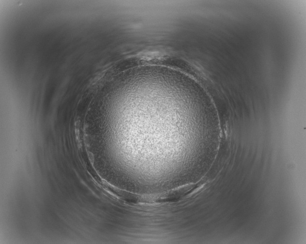 X0000067481396200604101217