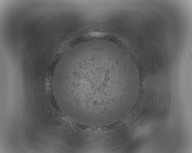 X0000067481397200604101217