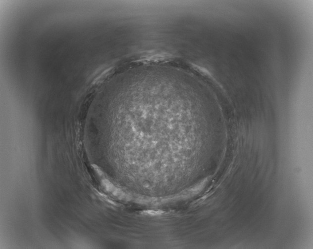 X0000067481399200604101217