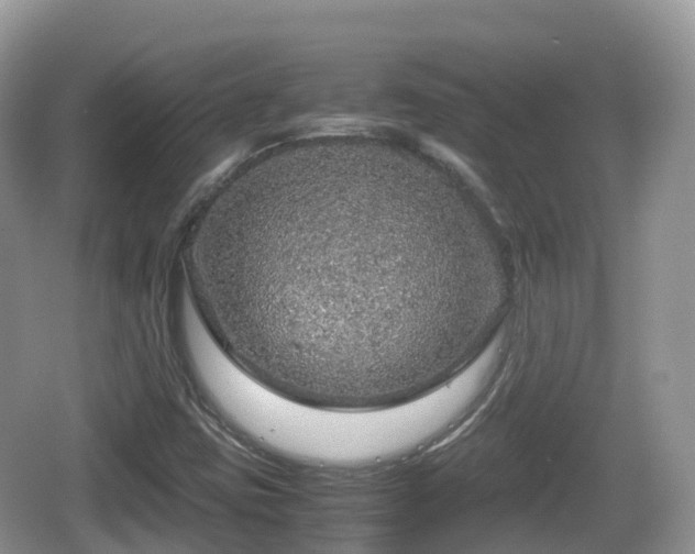 X0000067481403200604101217