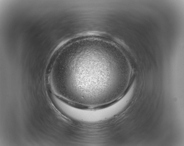 X0000067481404200604101217