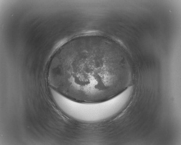 X0000067481405200604101217