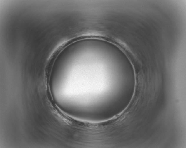 X0000067481408200604101217