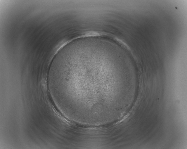 X0000067481409200604101217