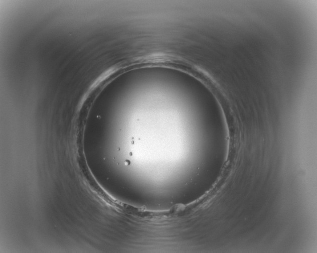 X0000067481410200604101217