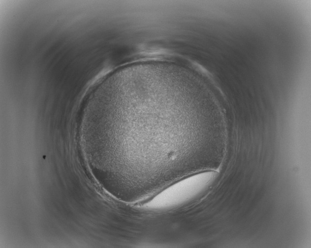 X0000067481411200604101217