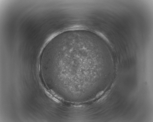 X0000067481413200604101217