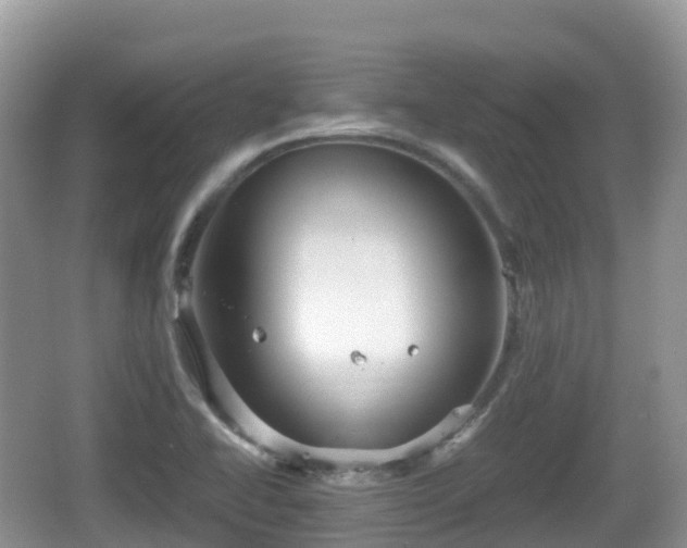 X0000067481414200604101217