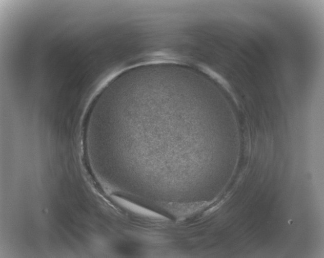 X0000067481415200604101217