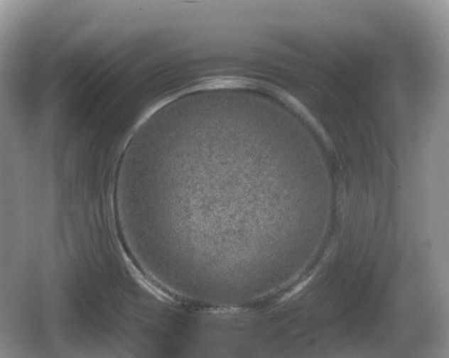 X0000067481417200604101217