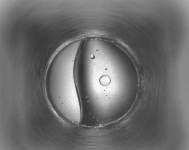 X0000067481418200604101217